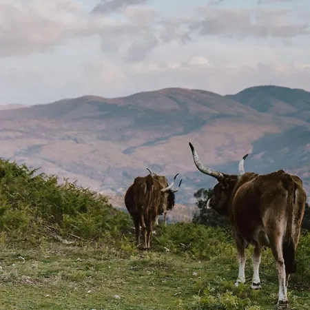 Casas Da Peneda - Geres *