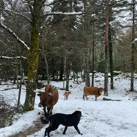 Casas Da Peneda - Geres בית כפרי Gavieira