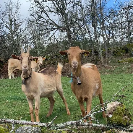 Casas Da Peneda - Geres * Gavieira