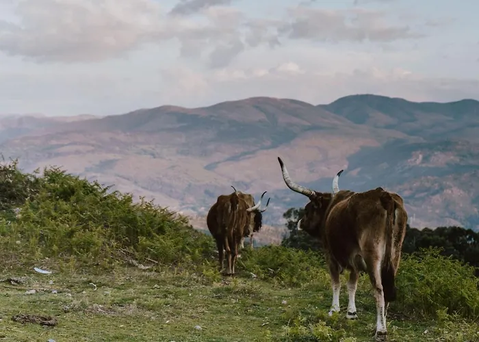 Casas Da Peneda - Geres *