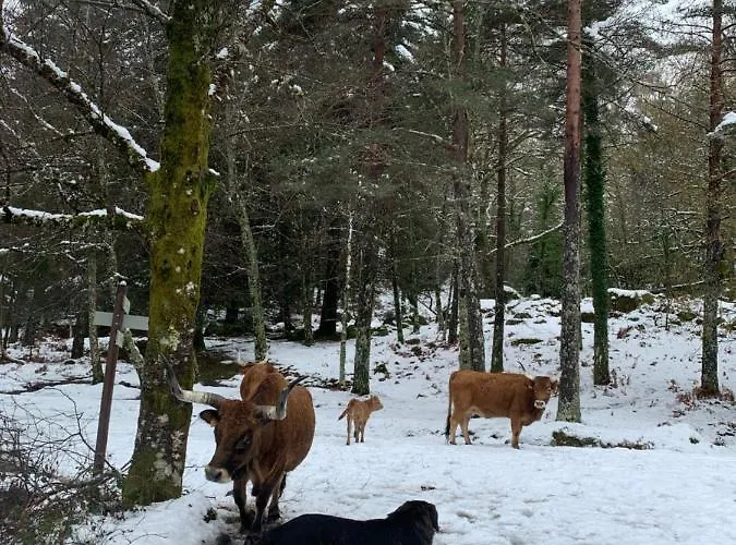 Casas Da Peneda - Geres Séjour à la campagne Gavieira
