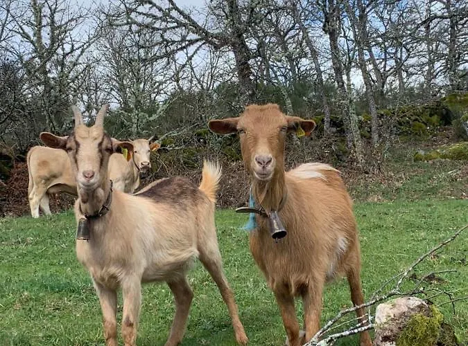 Casas Da Peneda - Geres * 噶韦埃拉
